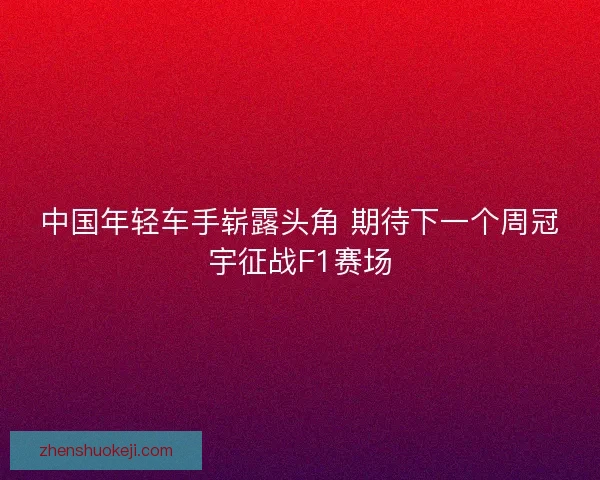 中国年轻车手崭露头角 期待下一个周冠宇征战F1赛场